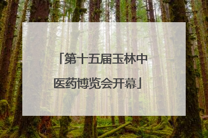 第十五届玉林中医药博览会开幕
